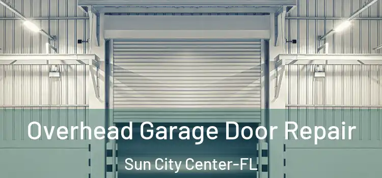  Overhead Garage Door Repair Sun City Center-FL